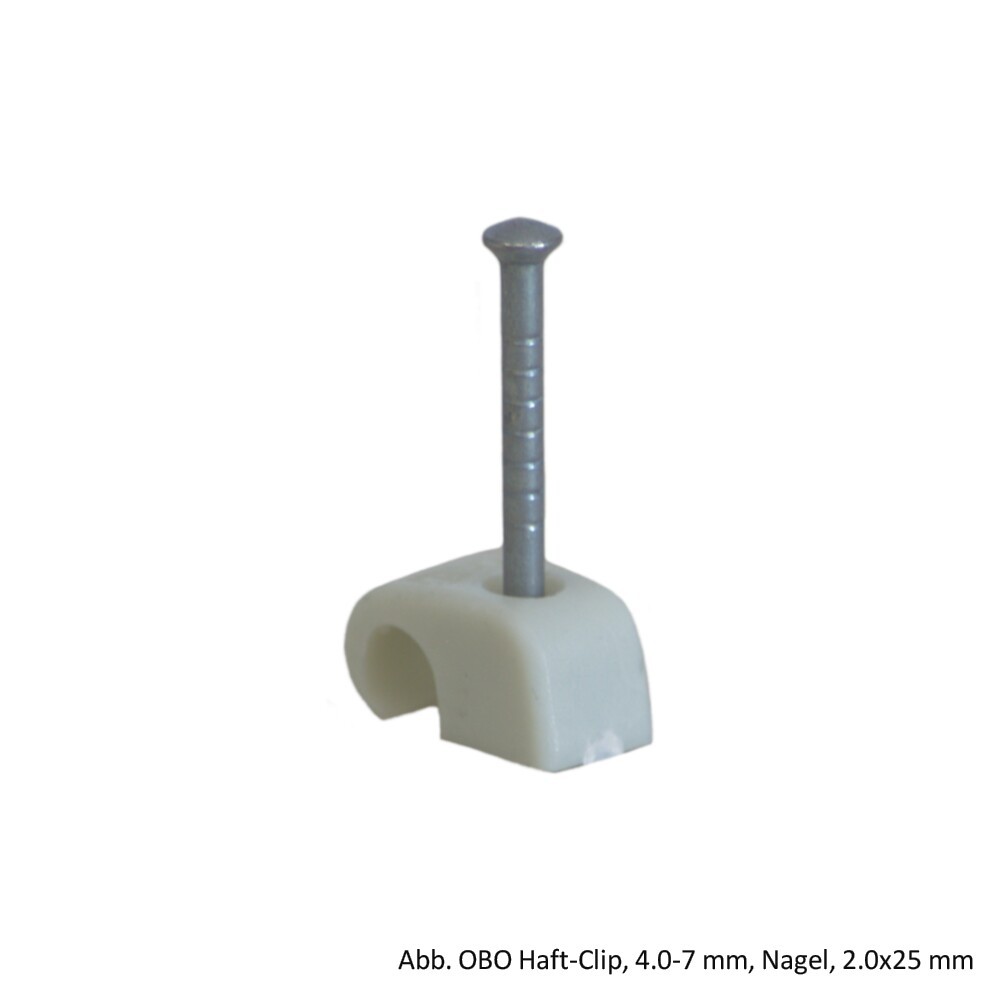 OBO Haft-Clip 2025/25GR PP, 4.0-7mm, Nagel,2.0x25mm, lichtgrau,100 Stück,2228629