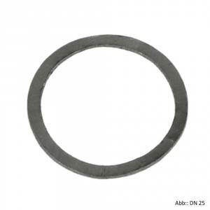 KSB Flachdichtung DN 50 für Schmutzfänger PN 6/16